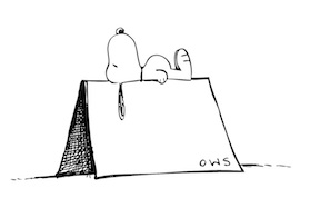 tenting snoopytent